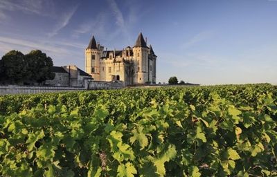《莞飲莞食》攜法國紅酒做客上東國際_新浪地產網