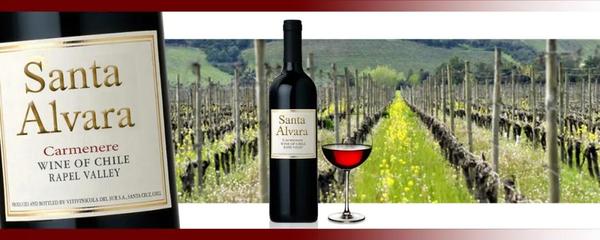 當(dāng)日特價(jià)兩個(gè)月銷量的TOP8產(chǎn)品排名出來(lái)了!冠軍居然不是法國(guó)葡萄酒,就是。