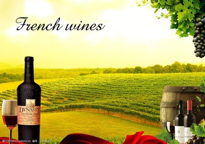 法國(guó)葡萄酒圖片