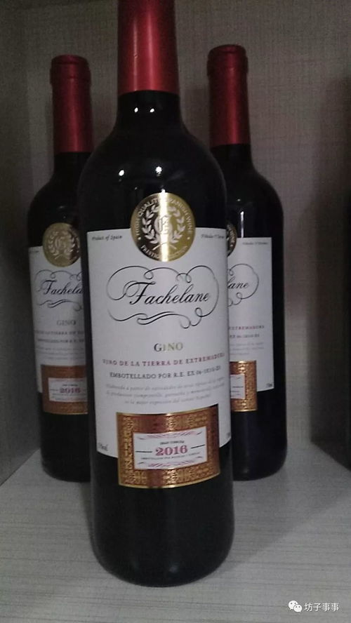 正宗法國紅酒卡蒂娜正式登陸坊子，坊子人盡享法蘭西醇香